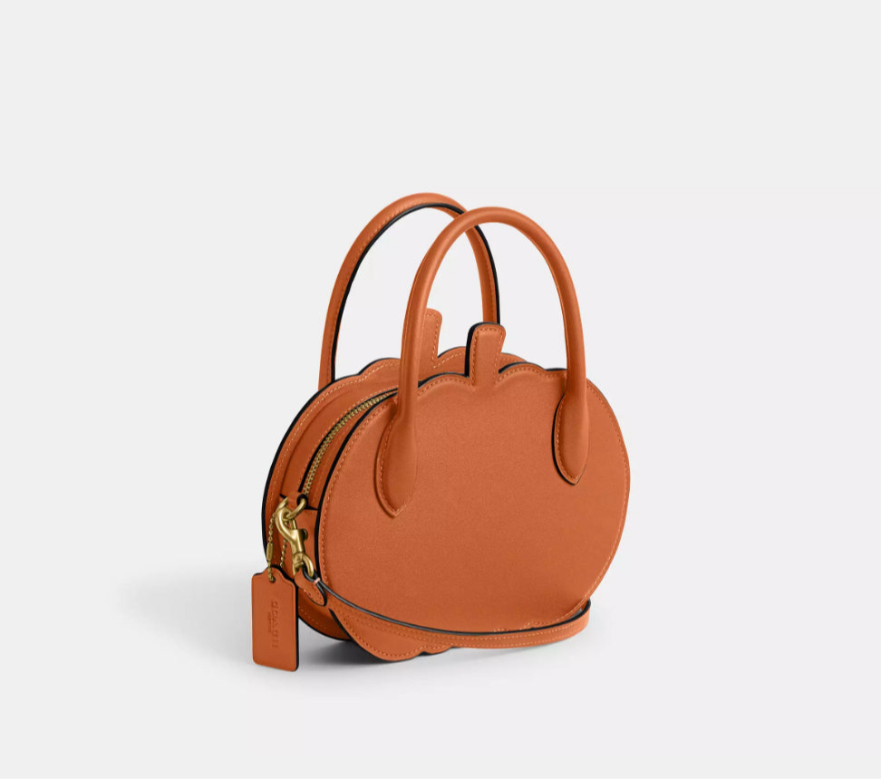 NWT Coach Pumpkin Bag In Leather