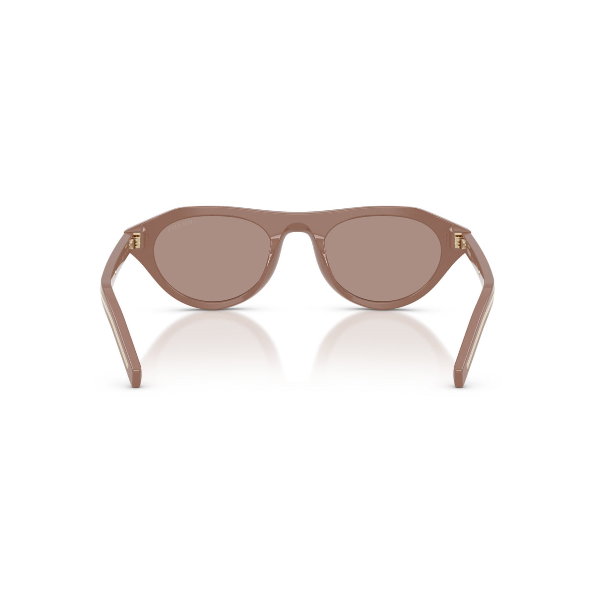 Rounded Cat-Eye Acetate Sunglasses With Gold Accents