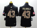 Men's Pittsburgh Steelers Troy Polamalu #43 Black Authentic Game jersey