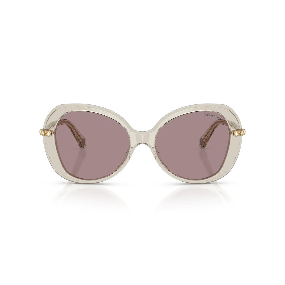 0Sk6059 Large Rounded Acetate Sunglasses with Gold-Toned Temples