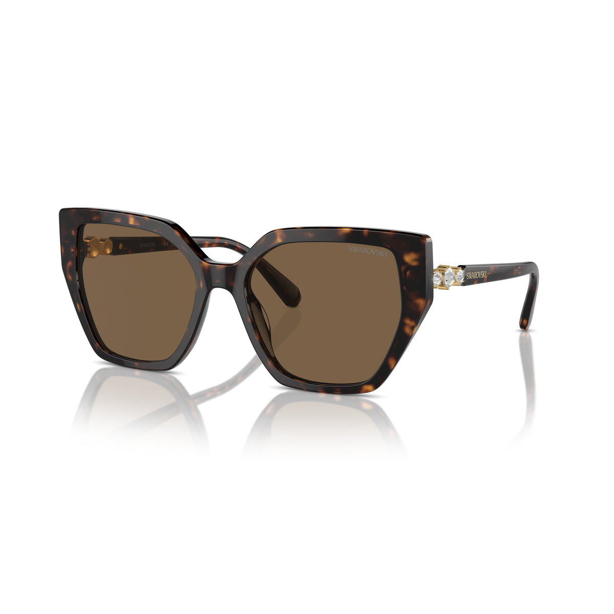 0Sk6016 Oversized Cat-Eye Sunglasses with Tortoiseshell Acetate