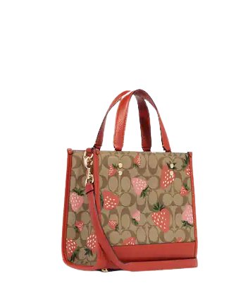 Coach Dempsey Tote 22 In Signature Canvas With Wild Strawberry Print
