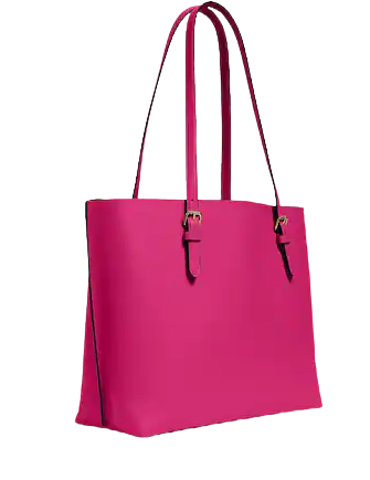 Coach Mollie Tote