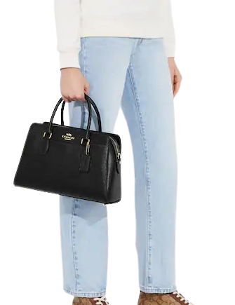 Coach Darcie Carryall