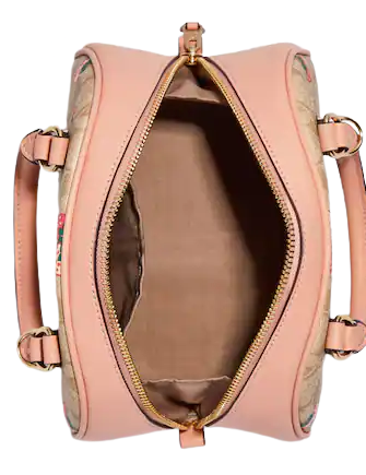 Coach Sydney Satchel In Signature Canvas With Strawberry Print