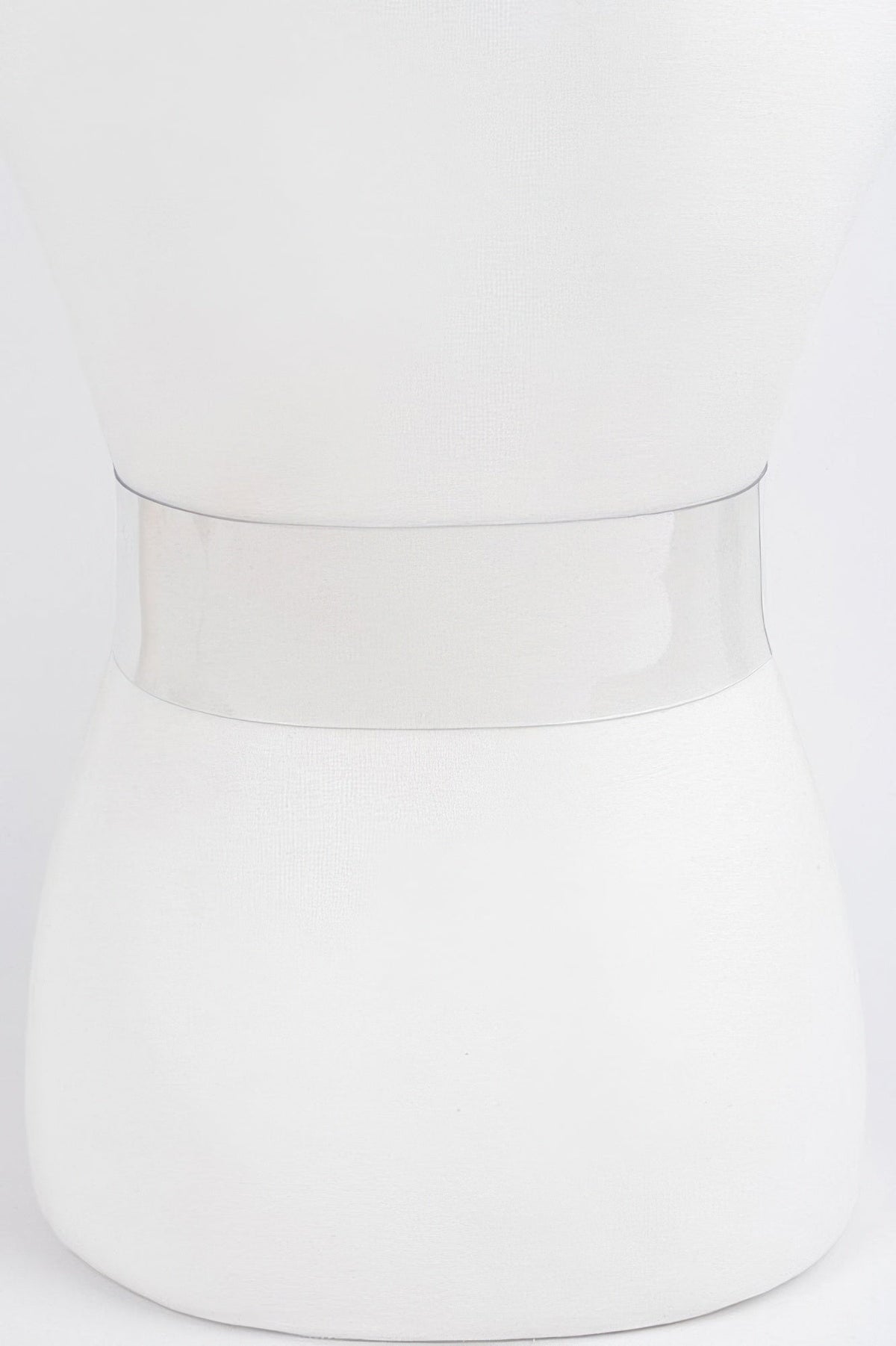 Clear Waist Belt with Metal Hardware Modern Style