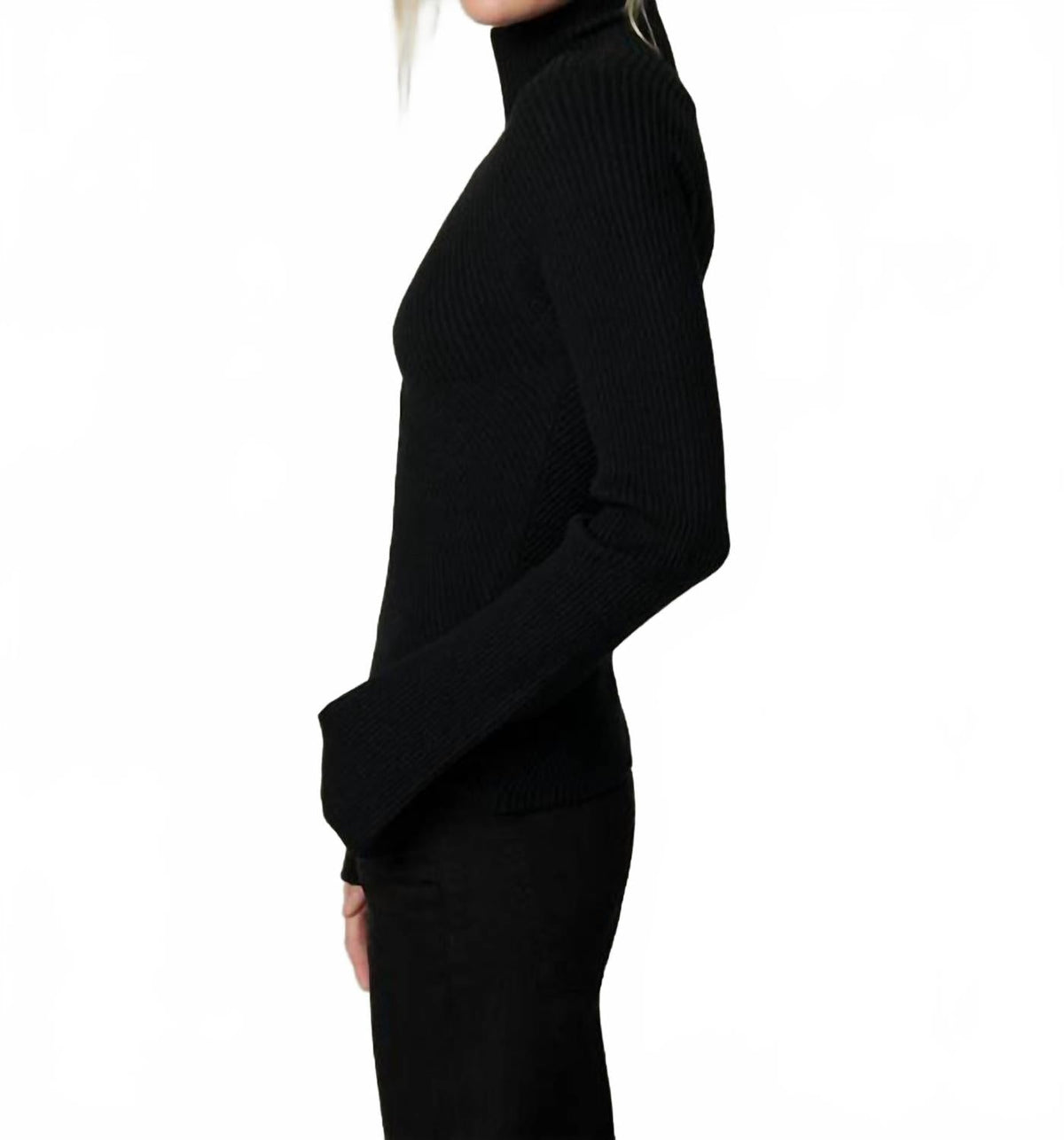 Palmer Turtleneck Top In Black