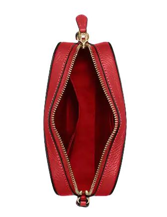 Coach Mini Camera Bag