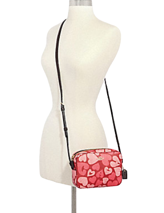 Coach Mini Camera Bag With Heart Print