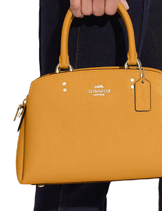 Coach Mini Lillie Carryall