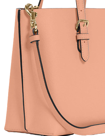 Coach Mollie Tote 25