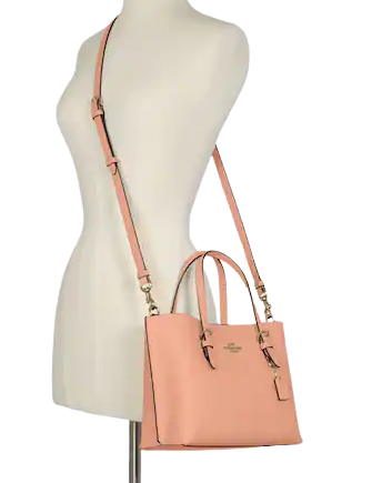 Coach Mollie Tote 25