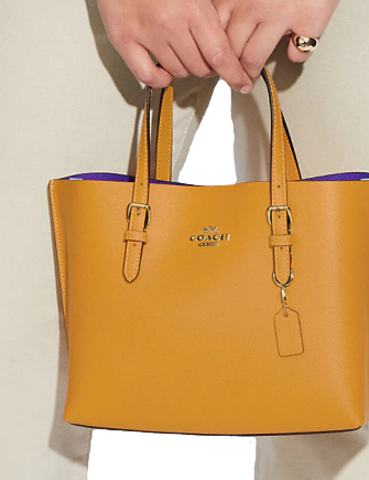 Coach Mollie Tote 25