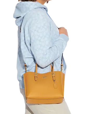 Coach Mollie Tote 25