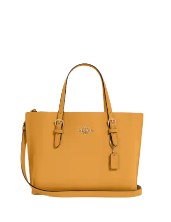 Coach Mollie Tote 25