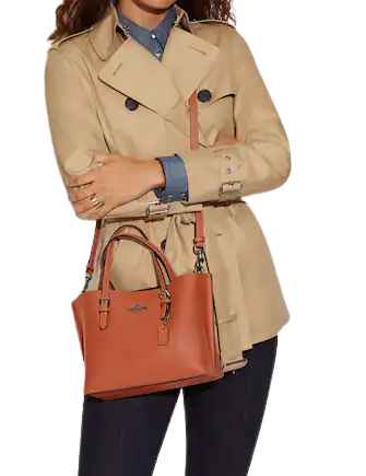 Coach Mollie Tote 25