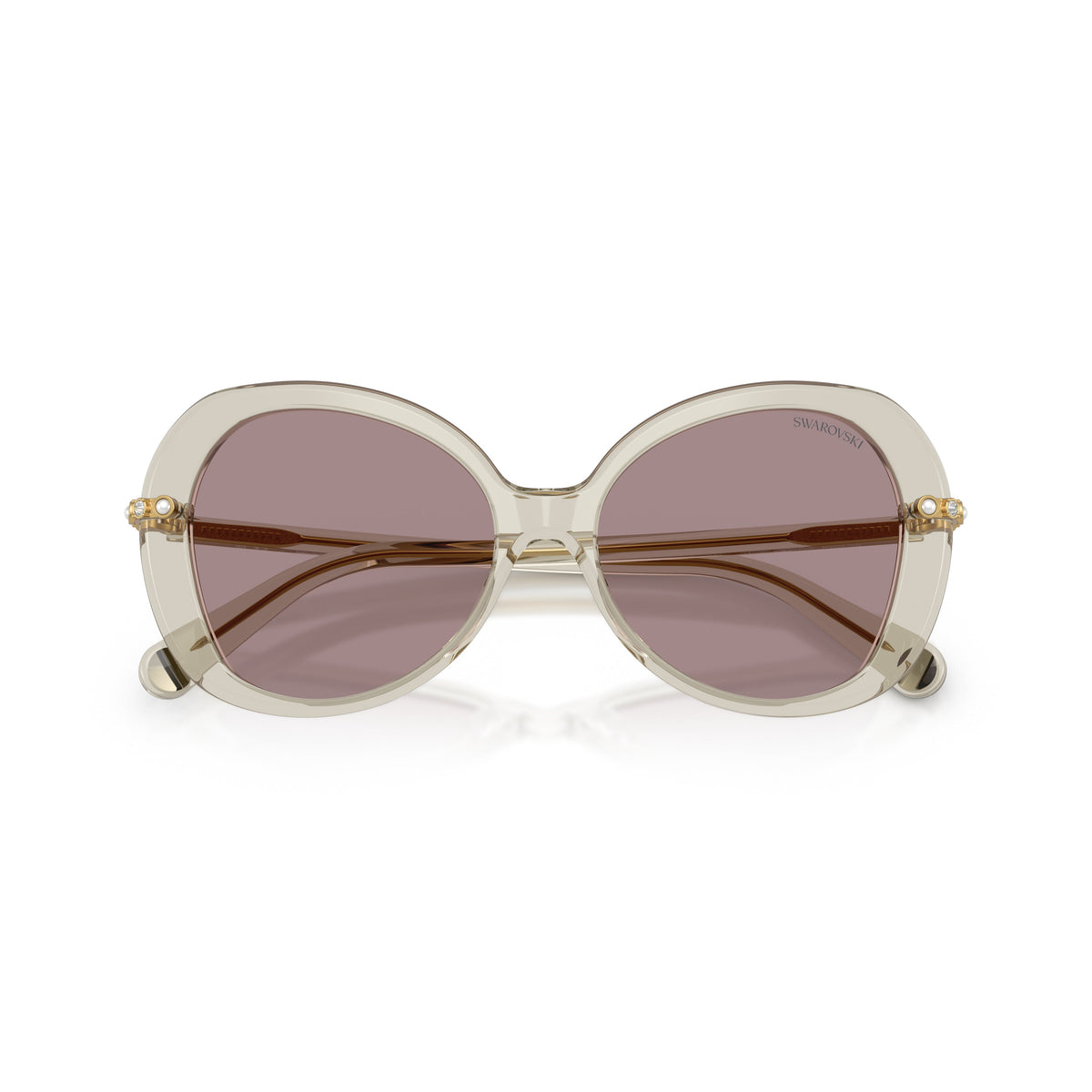 0Sk6059 Large Rounded Acetate Sunglasses with Gold-Toned Temples