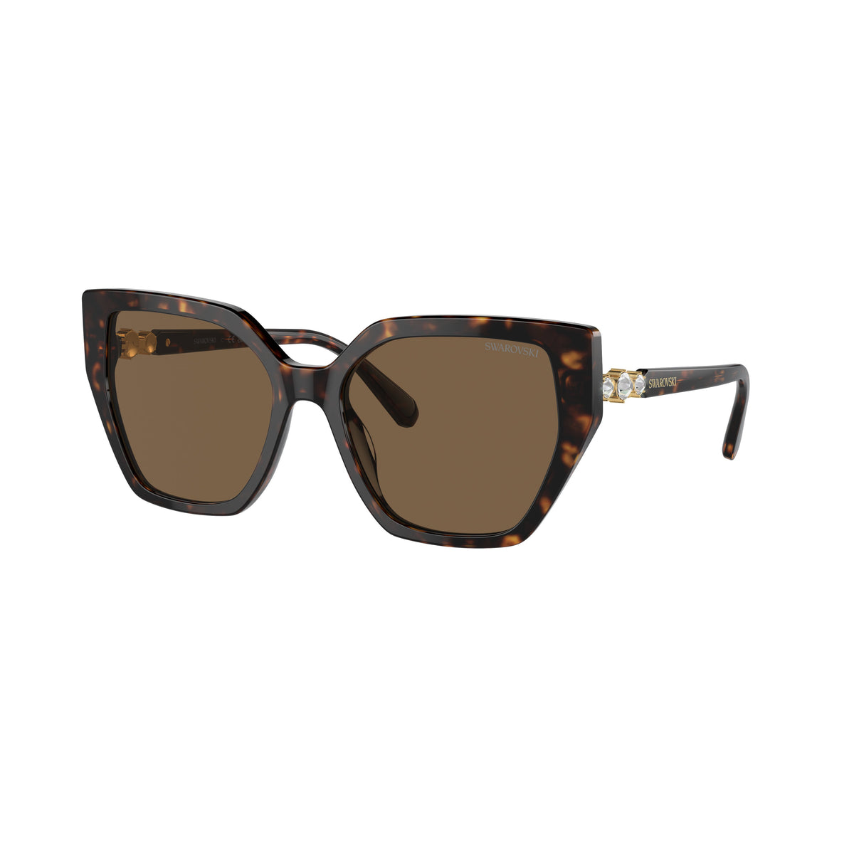 0Sk6016 Oversized Cat-Eye Sunglasses with Tortoiseshell Acetate